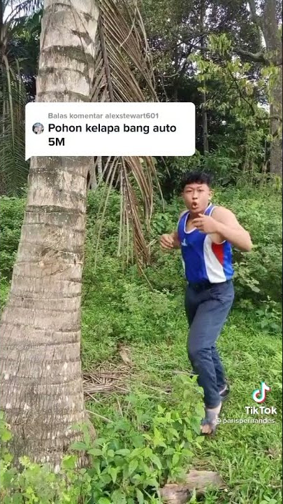 Tinju tree coconut 💪💪💪Salam dari Binjai |Paris Fernandes |#parisfernandes #shorts #salamdaribinjai
