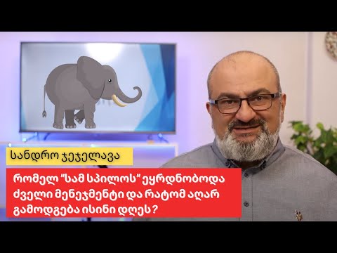 რომელ \"სამ სპილოს\" ეყრდნობოდა ძველი მენეჯმენტი და რატომ აღარ გამოდგება ისინი დღეს? - სანდრო ჯეჯელავა