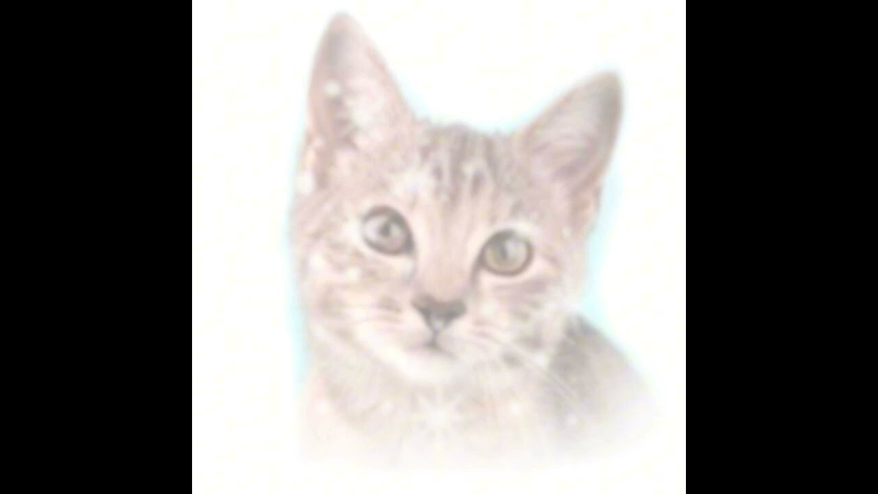 airbnb - acies (Slowed + Reverb)