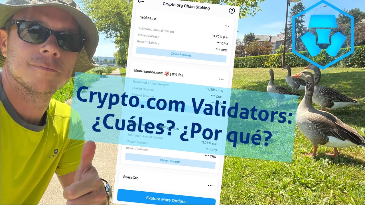 ➡️ CRYPTO.COM DeFi Wallet Staking + Passive Income: ¿Qué validators uso y  cómo los elijo? (TOP FAQ)