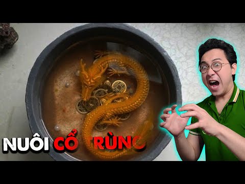 Video 4 Loại Tà Thuật Nguy Hiểm Chuyên Được TRUNG QUỐC Sử... - youtube