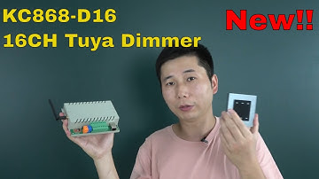 16 channel TUYA smart dimmer controller - KC868-D16