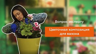 Цветочная композиция для вазона//Кенгуру