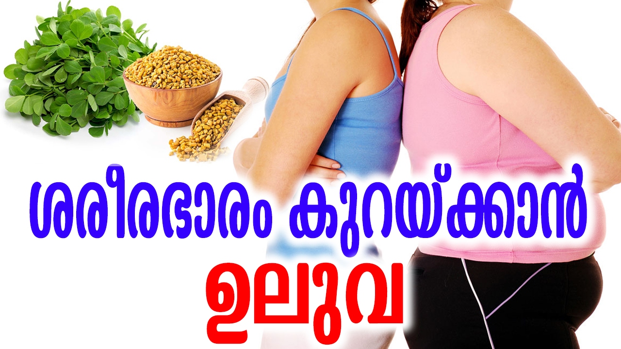 ശരീരഭാരം കുറയ്ക്കാൻ ഉലുവ | Fenugreek Seeds for Weight Loss ...