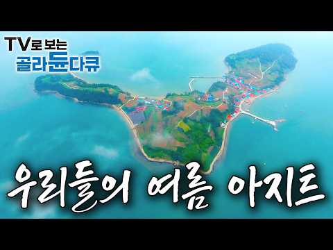 ✨한여름 폭염에도 우리는 시원하게 보낸다😎 산에서, 바다에서 각자의 아지트를 만들고 여름을 보내는 사람들｜한국기행｜#골라듄다큐