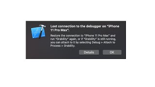 Lost Connection To The Debugger On Xcode