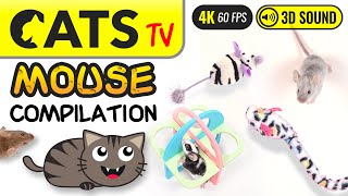 GAME FOR CATS  The Best MOUSE Compilation   4K 60FPS [Cats TV]