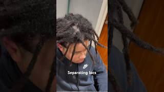 Separating my locs #locs #braids #locstyles #locjourney #locrepair