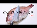 【作業配信】リハビリ魚さばき マダイ メジナ #魚さばき#魚捌き #FilletingFish