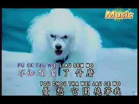 鄧麗君 - 千言萬語 KTV 伴奏 no vocal 無人聲 music 純音樂 karaoke 卡拉OK 伴唱 instrumental 邓丽君 - 千言万语