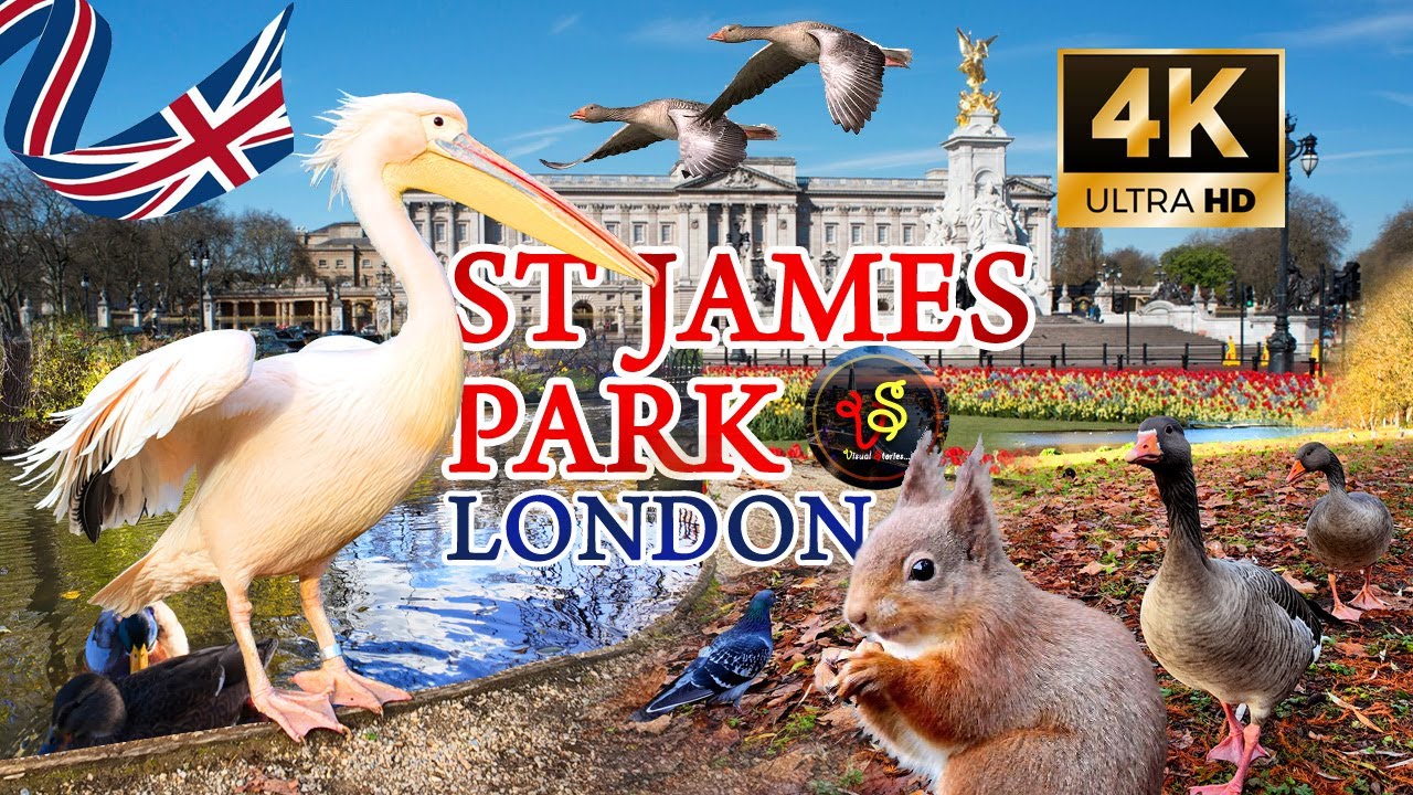 London's Royal Oasis: A Relaxing Stroll Through St. James's Park | 4K Video