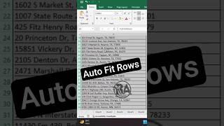 How to Auto Fit Rows in Excel ll Make Equal Size Row in Excel ll Bivash Academy #excel