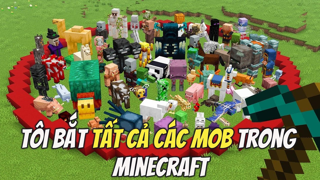 Tôi Bắt TẤT CẢ MOB Trong MInecraft | MeMaiRap