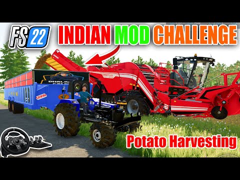 😍Potato Harvesting Farming