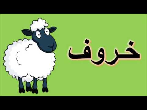 تعليم اسماء الحيوانات البريه والبحريه للاطفال