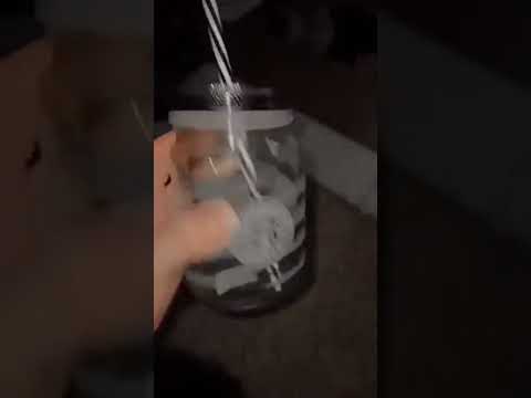 مج برطمان بشاليموه ستار باكس