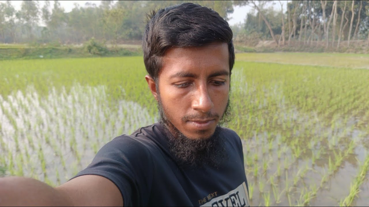 আমাদের কষ্টের জমিটাতে এতো সুন্দর ধানের চারা গাছ দেখলে মনটা জুড়িয়ে গেছে 🥰  | Farmer lifestyle Vlog