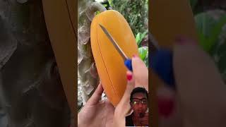 Download Lagu PANEN PEPAPYA 😱 @NandiRukman MP3