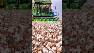 Cotton Harvesting Machine Fail! One Small Mistake, Huge Cotton Bundle.#ytshorts #cotton #trending