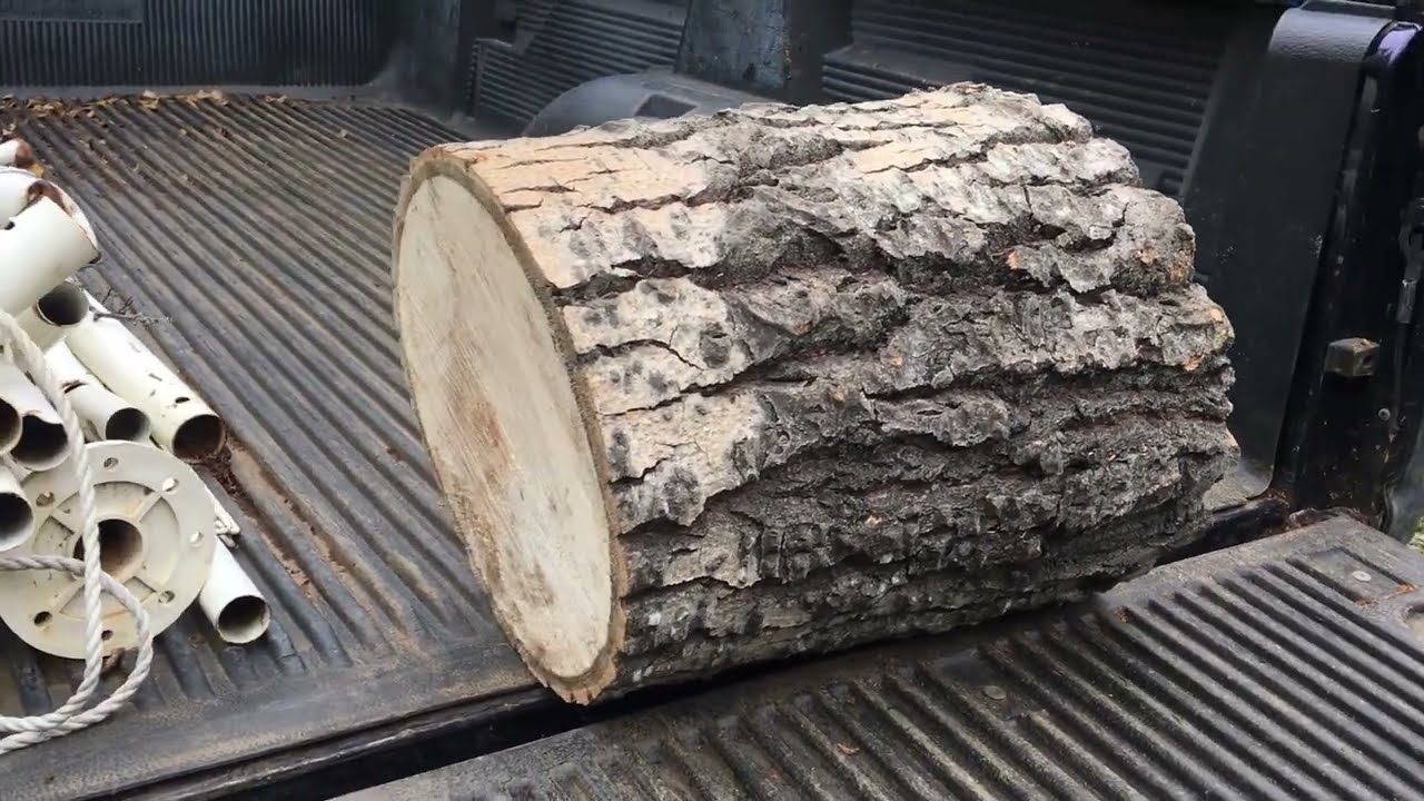 Semi-Hollow Body Guitar Built From a Log Found In the Dump