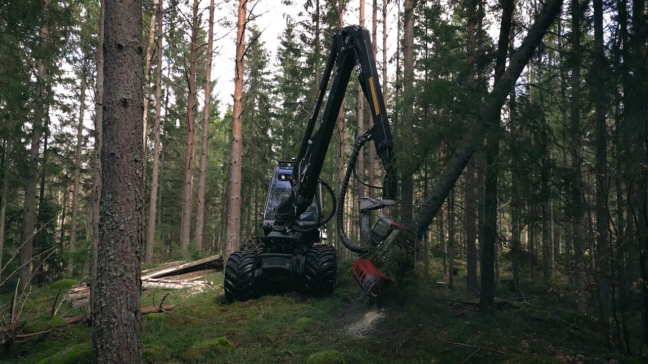 Malwa 980 Harvesters And Cat® Engines Power Sustainable Forestry
