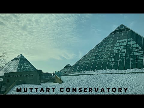 Muttart Conservatory EXPLORE EDMONTON
