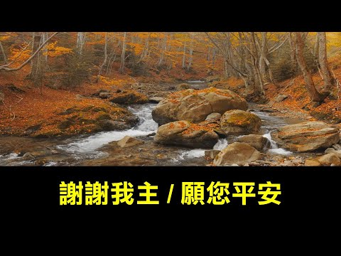 謝謝我主 / 願您平安 - 8/11 基約宣道會中文崇拜詩歌(3)
