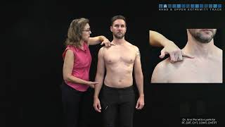 Clavicle mobility test