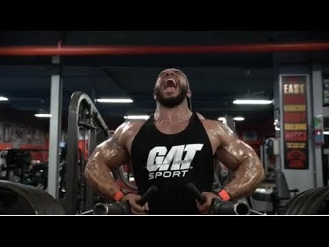 Sergio Oliva Jr. Thanks GAT video phone beyonce mp3
