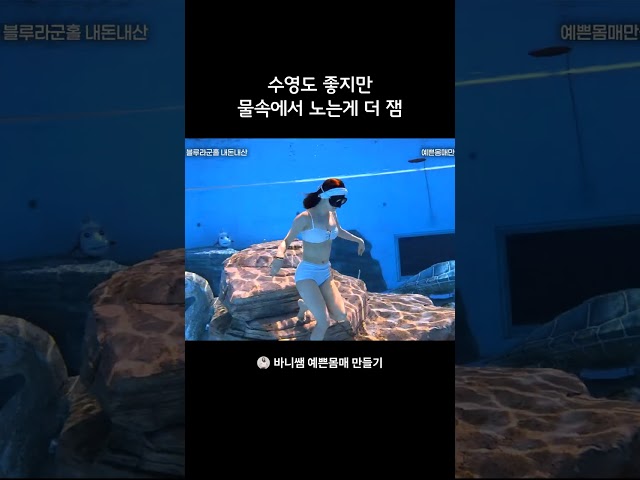수영도 좋지만 물속에서 노는게 더 잼