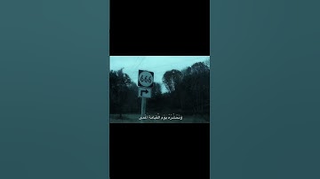 وَمَنْ أَعْرَضَ عَن ذِكْرِي فَإِنَّ لَهُ مَعِيشَةً ضَنكًا🤍✨️#القرآن_الكريم #تلاوة #خشوع #طمأنينة#آية