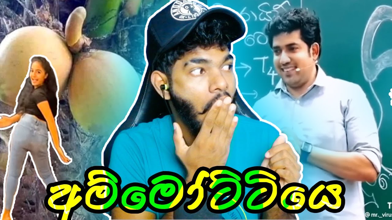 අම්මොට්ටියෙ | ammottiye | Gazta react | Sri lanka