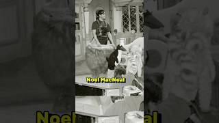 Come Funziona Bear Nella Grande Casa Blu