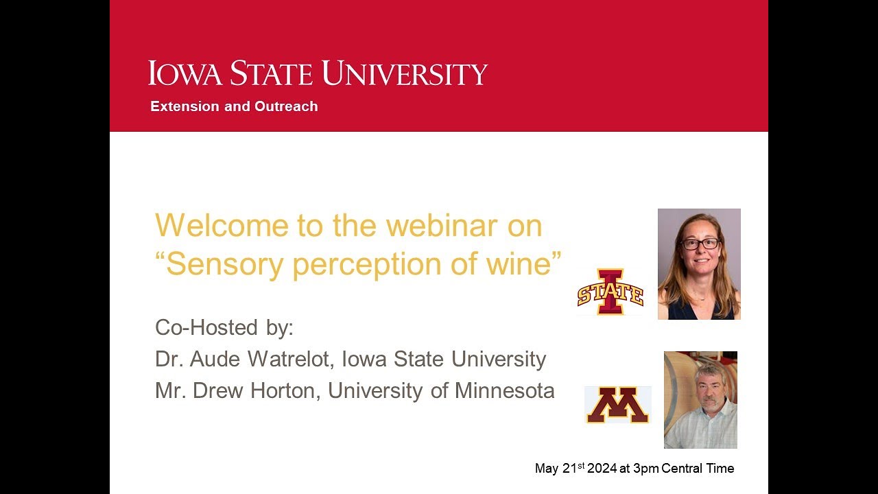 Sensory Perception of Wine