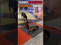 #reactionvideo #reactions #omg #wtf #unexpected #no_way#respectmoment #respectpost #kindness
