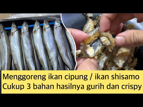 Cara Memasak Ikan Shisamo Goreng