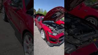 #mustang #ford #mustangweek #musclecar