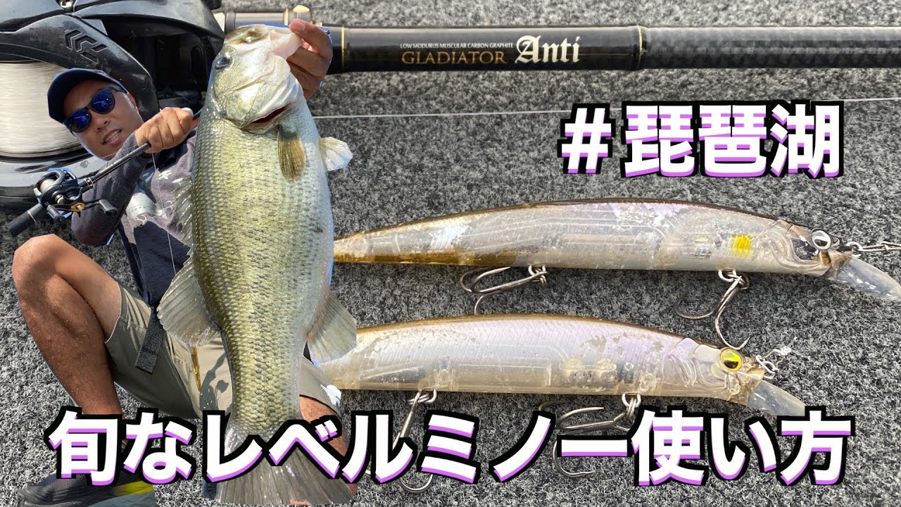 琵琶湖バス釣り】今が旬なレベルミノーの釣り！実釣&解説【レイド