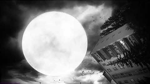 MYSQFLX - Exaltation / Synth-Pop with Digitone, Digitakt, MonoLancet, Blofeld and Sequential OB-6.