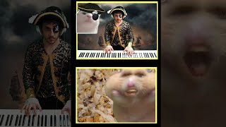 A hamster vibing while I play on omegle