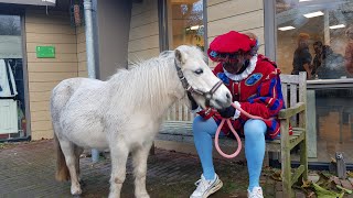 Hoofdpiet brengt een bezoek aan de Boerderij