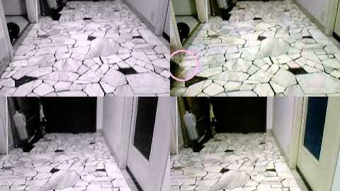 PowerCams - New Feature: Stereo Distance Measurement - Throwing Objects