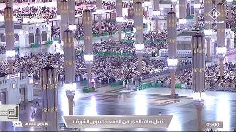تلاوة تدبرية من سورة النحل 28-55 للشيخ أ.د. #محمد_برهجي فجر الأثنين 16 شوال 1446هـ #المسجد_النبوي