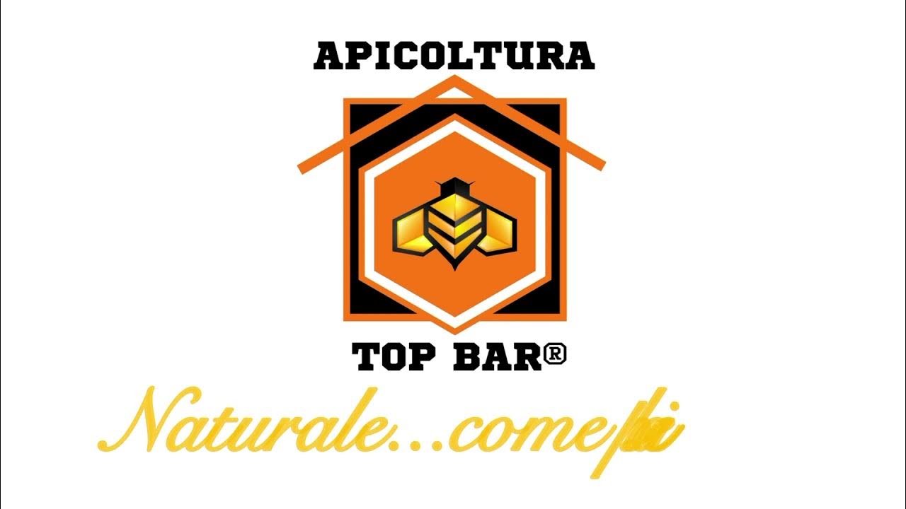Apicoltura Top Bar: Una caratteristica principale delle arnie naturali ...