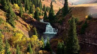 Drone Footage  Loving Caliber  Fun