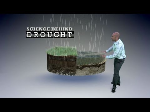 Video: Drought is not a mysterious phenomenon, but the ways to deal with it are still not known to man