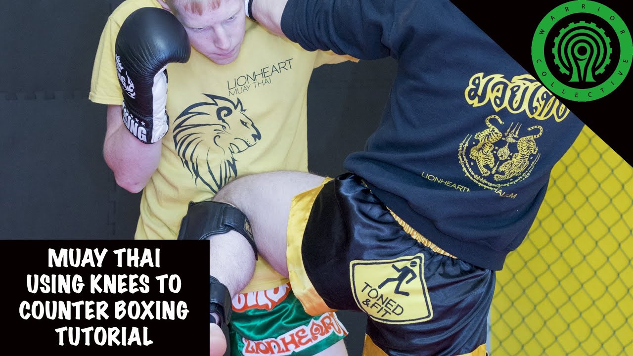 Muay Thai Using Knees to Counter Boxing Tutorial