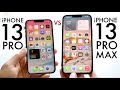 iPhone 13 Pro Max Vs iPhone 13 Pro In 2026! (Comparison) (Review)