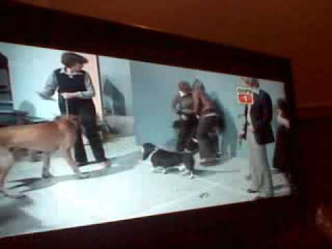 New OopS Tv  (Funny :D )