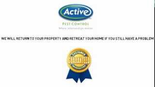 Active Pest Control Proactive Service